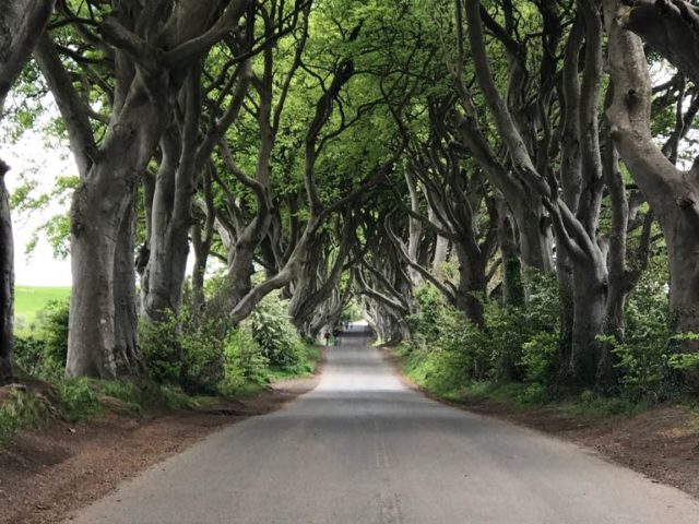 Roberta Finocchiaro and Simona Virlinzi around Ireland!